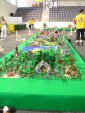 Castelo - Comunidade 0937